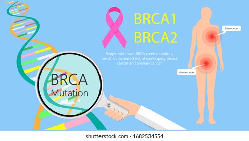 BRCA Gene Test Breast Ovarian Cancer Risk Analyze BRCA1 BRCA2 Diagnosis Draw Examine Prevention Detect Cell Female Fallopian Tube