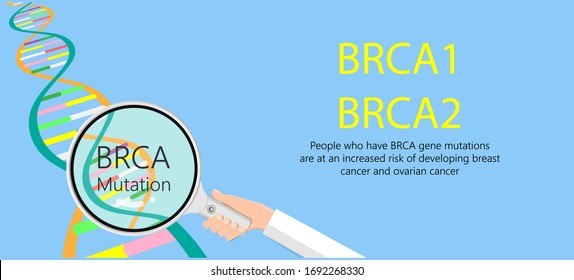 BRCA Gene Test Breast Ovarian Cancer Risk Analyze BRCA1 BRCA2 Diagnosis Draw Examine Prevention Detect Cell Female Fallopian Tube