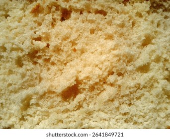 Bread background porous texture. Crumb realistic dotted. Food product banner vector.