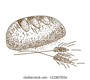 bread bakery brown drawn sketch graphic iluustration food white background
