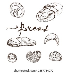 Bread, bakery product vector sketch drawing set. Fresh loaf of bread, baguette, croissant, cupcake, toast, burger and sweet bun, pretzel and challah. Natural organic bread, bakery shop design