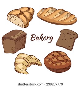 Bread, bakery products, color vector illustration, hand-drawn design elements.