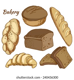 Bread, bakery products, color vector illustration, hand-drawn design elements. 