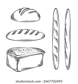 Bread Bakery products set. Vector graphics illustration, isolated. Baguetts, rond rye bread and French loaf. Sketch of traditional bread symbol. Flat design food for infographic, menu, cookbook, app.