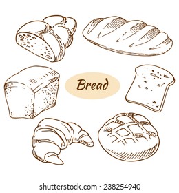 Bread, bakery products, vector illustration in sketch style, hand-drawn design elements.