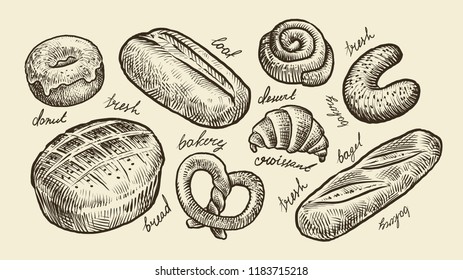 Bread, bakery sketch. Fresh pastry, food, set of hot baked goods. Vintage vector illustration