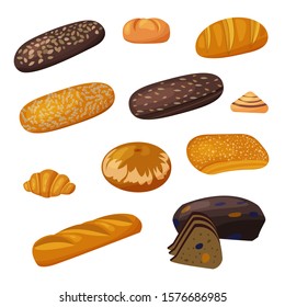 Bread collection. Whole grain, wheat bread, ciabatta, croissant, french baguette, cinnamon bun, loaf,  dried fruit bread.  Isolated on white. Flat style, vector illustration.