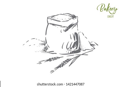 Bread, dough, pastry ingredient, cereal grains harvest, powder heap, rye, barley spikes, bakehouse, bakery. Wholemeal flour sack with wheat ears concept sketch. Hand drawn vector illustration