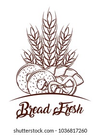 bread fresh wheat spike donuts and pretzel sketch image
