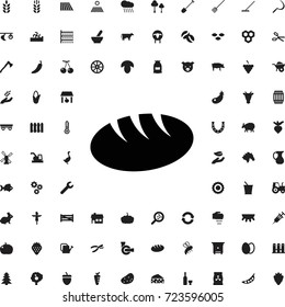 Bread icon. set of filled agriculture icons.