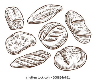 Bread, loaf, baguette. Hand drawn sketch food elements isolated on white background