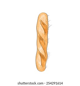 bread loaf baguette sketch color draw isolated over white background vector illustration