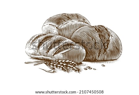 bread, loaf and brick bread Hand drawing sketch engraving illustration style