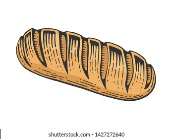 Bread loaf color sketch engraving vector illustration. Scratch board style imitation. Black and white hand drawn image.