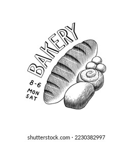 Bread, long loaf or baguette. Engraved hand drawn in old sketch and vintage style for label, logo and menu, bakery shop.