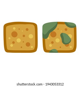 Bread with mold. Incorrect storage of the product. Fungus and rot. Sliced loaf for a sandwich. Flat illustration