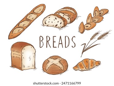Bread painted with pen and watercolor