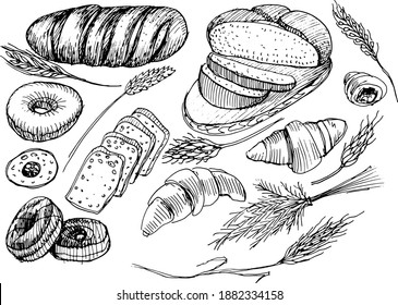 Bread, pastries, buns, cereals, spikelets. Bakery. Healthy eating. Set. Vector hand-drawn graphic illustration.