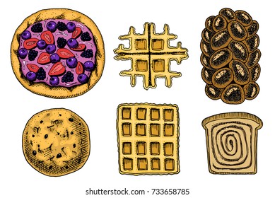 bread and pastry donut, Belgian waffles and fruit pie. cupcake and sweet bun or pretzel and toasts. engraved hand drawn in old sketch and vintage style for label and menu bakery shop. organic food.