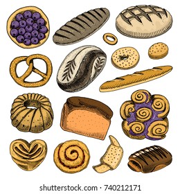 bread and pastry donut Belgian waffles and fruit pie. sweet bun or croissant, muffin and toasts. engraved hand drawn in old sketch and vintage style for label and menu bakery shop. organic food.