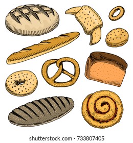bread and pastry donut, long loaf, baguette and cupcake and sweet bun or pretzel. engraved hand drawn in old sketch and vintage style for poster, label and menu bakery shop. organic food of flour.