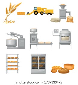 Bread Production from Grain Crop Harvesting to Grinding and Baking Vector Illustration Set