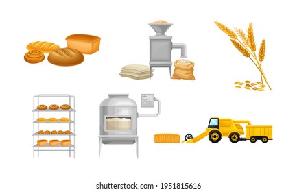 Bread Production from Grain Crop Harvesting to Grinding and Baking Vector Illustration Set