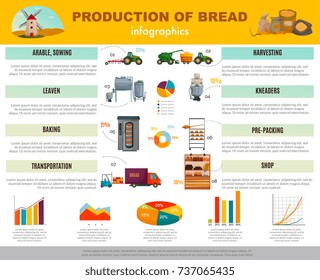 Bread production infographics with information and charts about cereal sowing, harvesting, baking, transportation to shop vector illustration