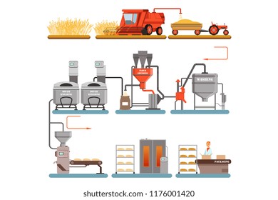 Bread production process stages from wheat harvest to freshly baked bread vector Illustrations