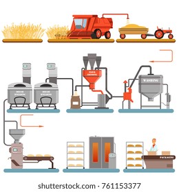 Bread production process stages from wheat harvest to freshly baked bread vector Illustrations