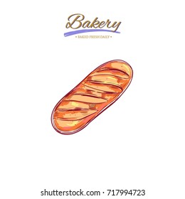 Bread roll. Vector hand drawn illustration. Bakery collection