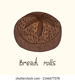 Bread rolls, hand drawn doodle, sketch, vector color illustration with inscription
