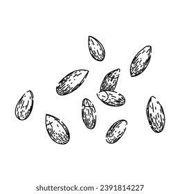 bread rye hand drawn. barley grain, cereal agriculture, harvest organic bread rye vector sketch. isolated color illustration