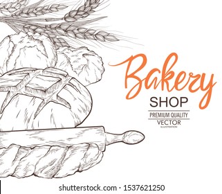 Bread set for bakery and pastry shop template.Fresh rye,whole grain and wheat bread,baguette,croissant,bun,,pita,ciabatta,bagel.Vector hand drawn template packaging food, label, banner, poster.