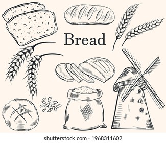 Bread set hand drawing. Sketch. Vector collection of cereal products and mill. Manufacture of products from grain and flour.