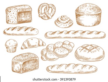 Bread sketches with long loaves, baguette, wheat and rye bread, croissant, cupcake, pretzel, cinnamon roll and braided bun. Bakery and pastry products in vintage engraving style for food design