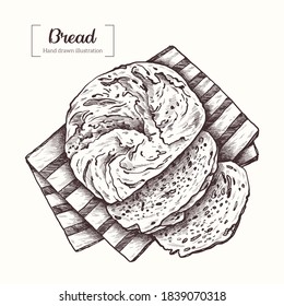 Bread. Sliced round loaf of bread. Bread on a towel. Vector Hand Drawn. Sketch Illustration. 