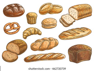 Bread sorts and bakery icons. Vector pencil sketch rye bread, ciabatta, wheat bread, muffin, bun, bagel, sliced bread, french baguette, croissant pretzel biscuit