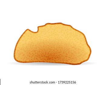Bread toast on a white background. Vector illustration.