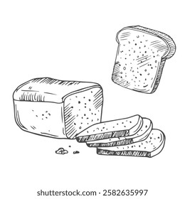 Bread toasts, toasts with butter and peanut paste, toaster sketch set. Bread toasts for sandwich piece of roasted crouton. Lunch, dinner, breakfast snack. Isolated white background.