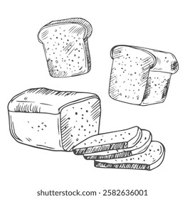 Bread toasts, toasts with butter and peanut paste, toaster sketch set. Bread toasts for sandwich piece of roasted crouton. Lunch, dinner, breakfast snack. Isolated white background.