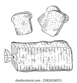 Bread toasts, toasts with butter and peanut paste, toaster sketch set. Bread toasts for sandwich piece of roasted crouton. Lunch, dinner, breakfast snack. Isolated white background.