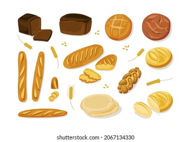 Bread. Various bakery products - french Baguette and challah, pita.Vector cartoon icon set. Vector illustration