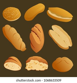 Bread vector collection. Baton, bun, hotdog bun. Set of different types of bread