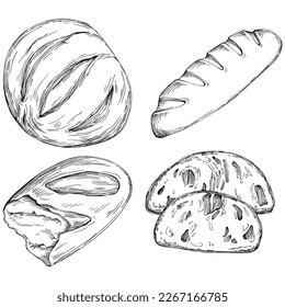 Bread vector hand drawn illustration in vintage and retro graphic style. The best for design logo, menu, label, icon, stamp.