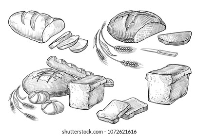 Bread vector hand drawn set illustration. Other types of wheat, flour fresh bread. Gluten food bakery engraved collection. Black bake organic food isolated on white background.