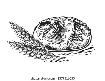 Bread vector hand drawn set illustration. Other types of wheat,  fresh bread. Gluten food bakery engraved collection. 
