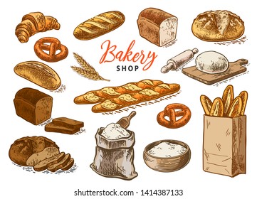 Bread vector hand drawn set illustration in graphic style. Other types of wheat, flour fresh bread. Color vector hand drawn vintage engraving illustration for poster, label and menu bakery shop