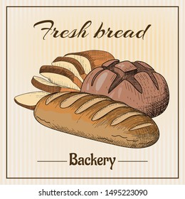 Bread vector hand drawn set illustration. Gluten food bakery engraved collection. Fresh bread, backery poster in vintage sketch style