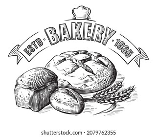 Bread vector hand drawn set illustration. Other types of wheat, flour fresh bread. Gluten food bakery engraved collection